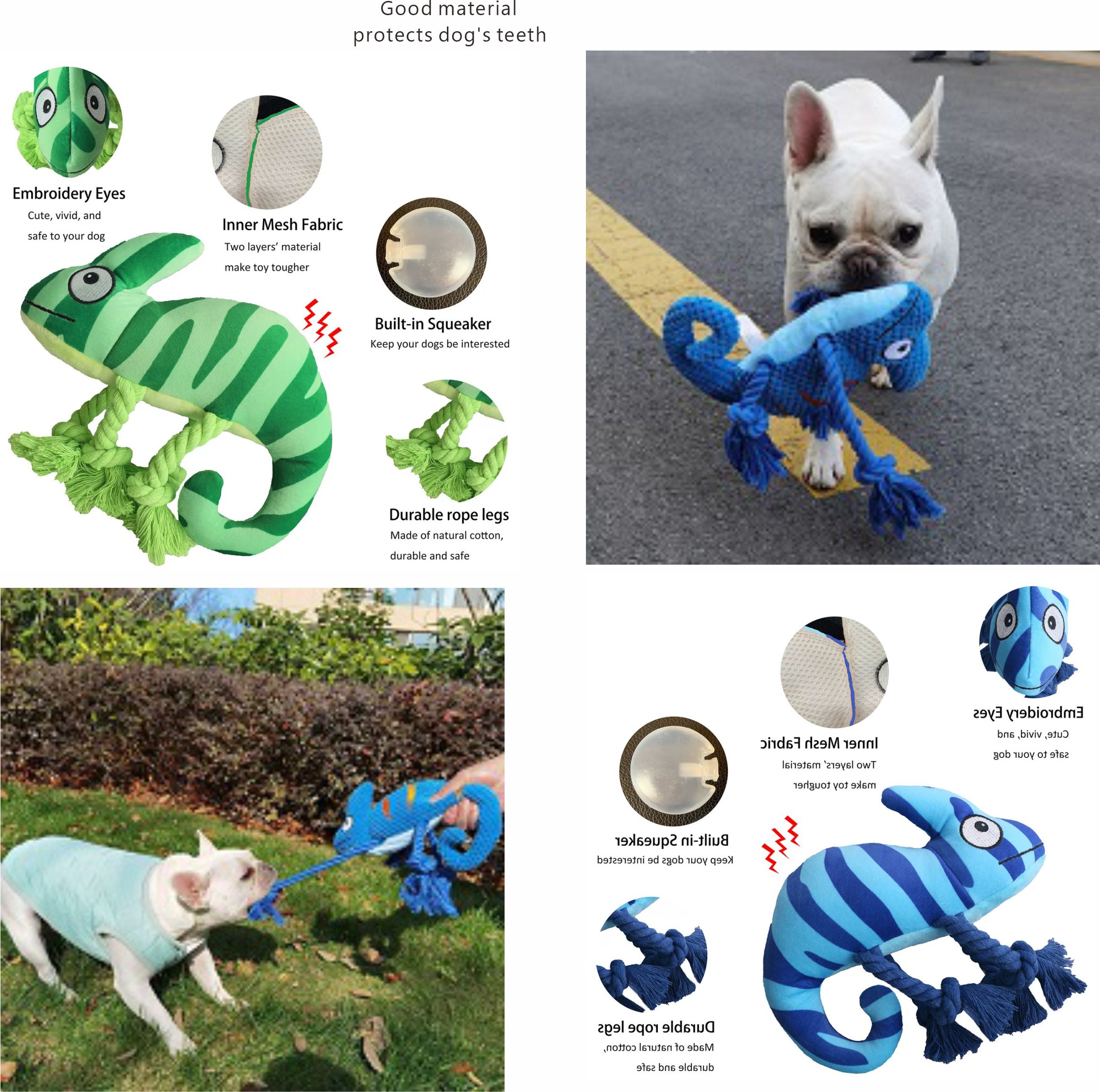 变色龙内页3 变色龙内页3