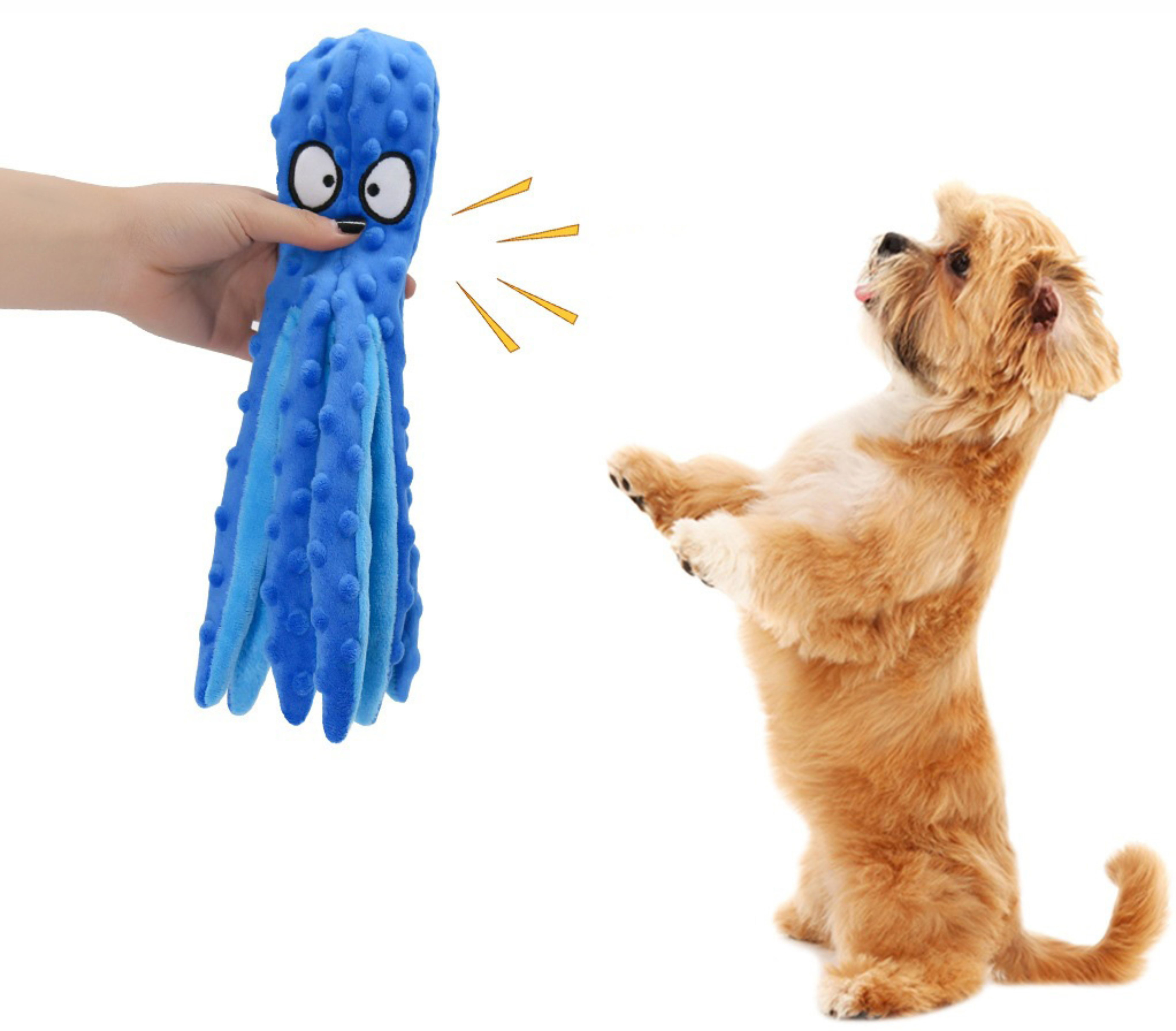 八爪鱼内页4 八爪鱼内页4