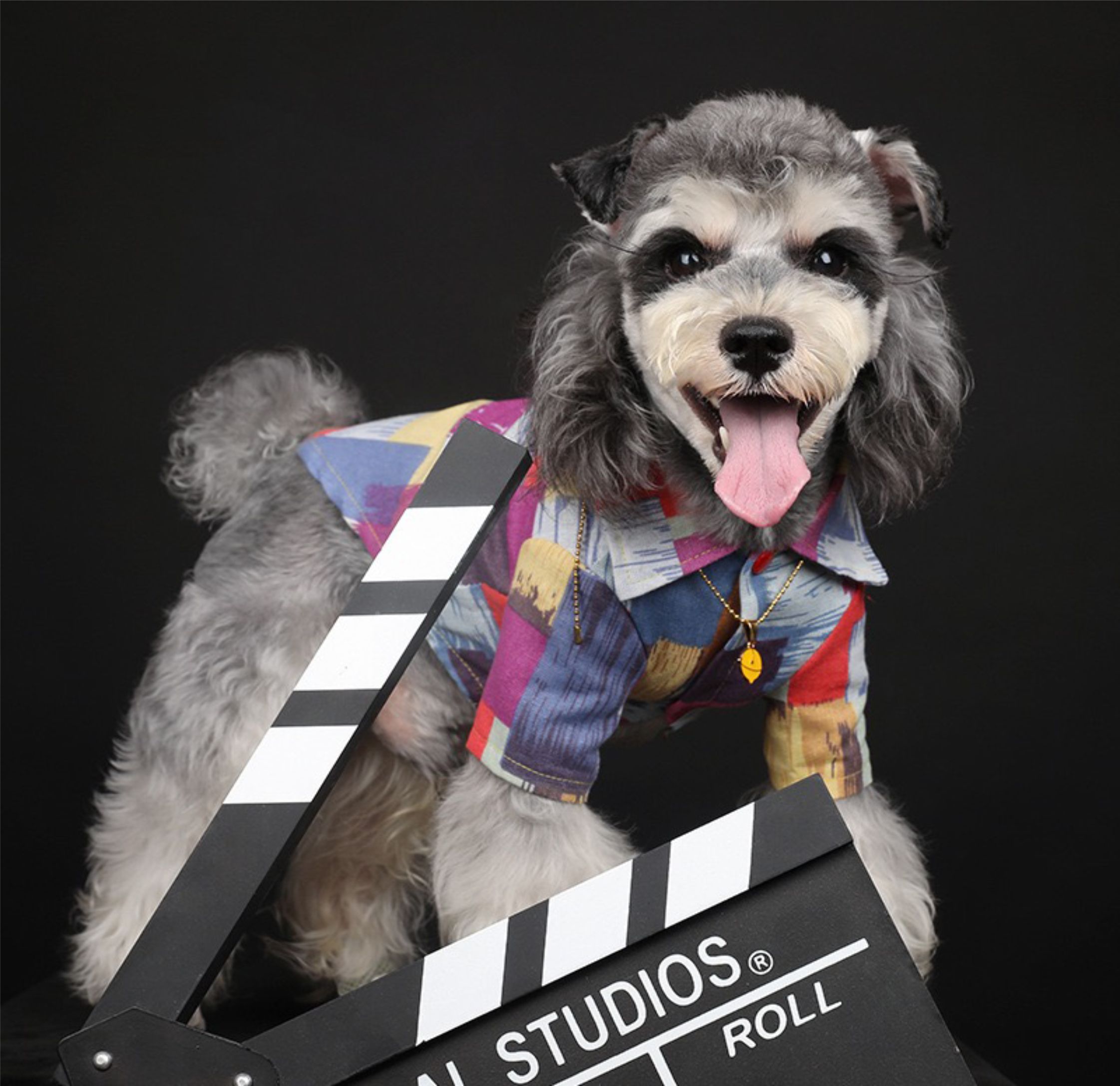 dog clothes designer dog clothes designer