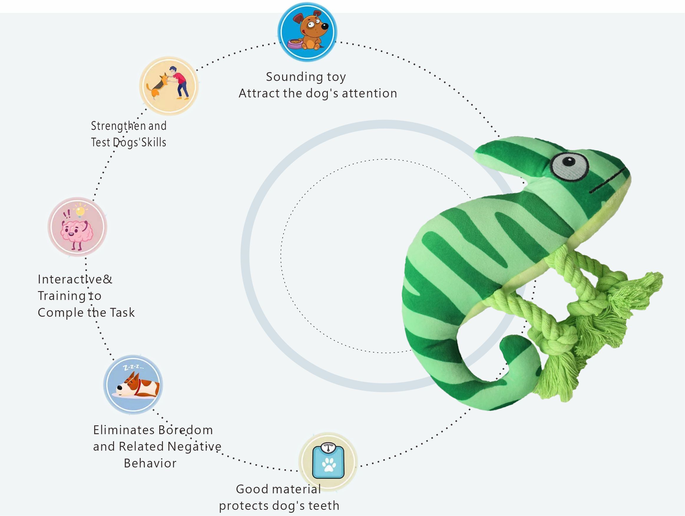 变色龙内页2 变色龙内页2