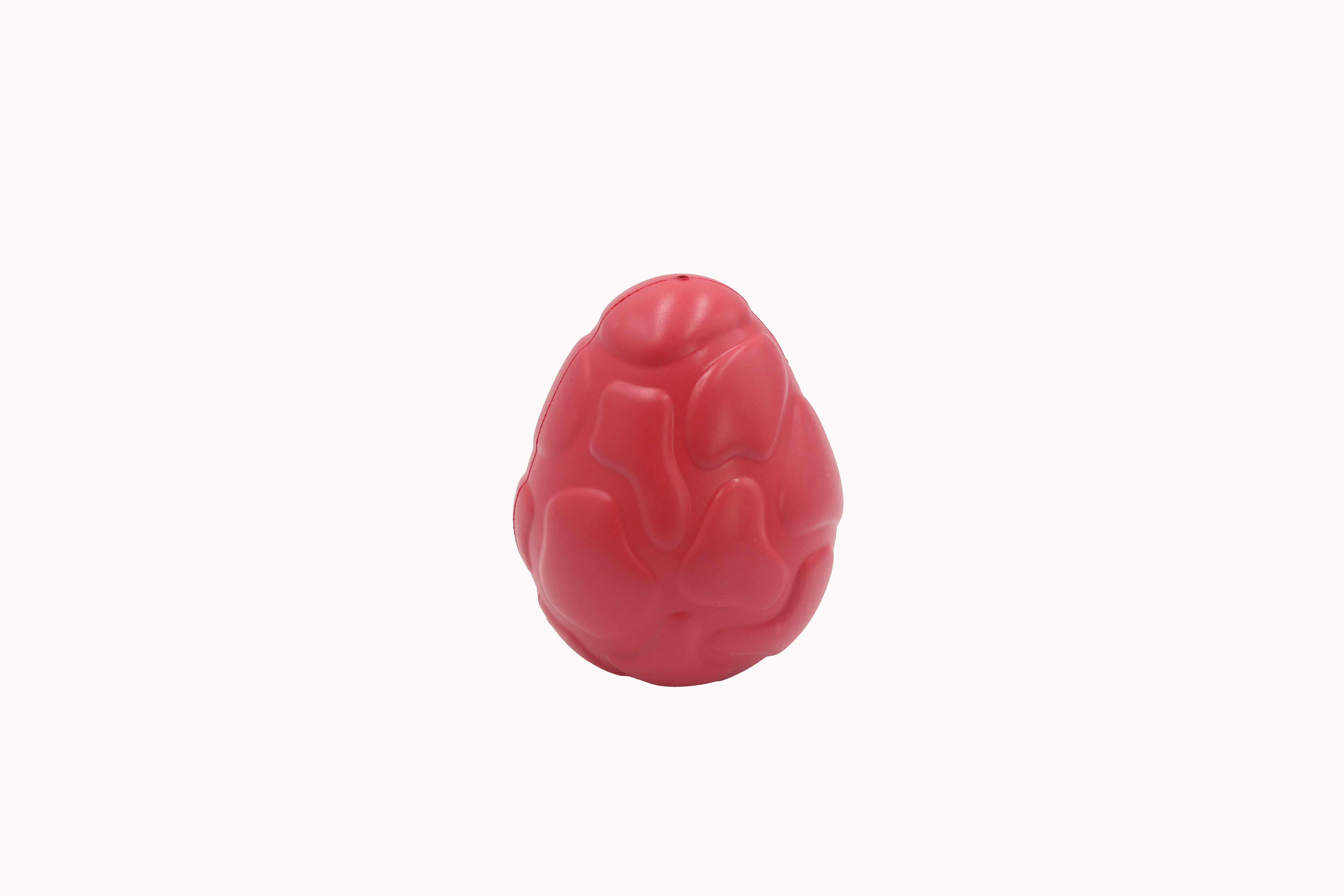 Squeaky Dog Toy