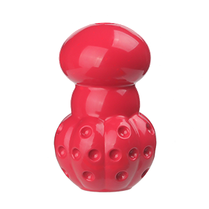 Rubber Dog Toy
