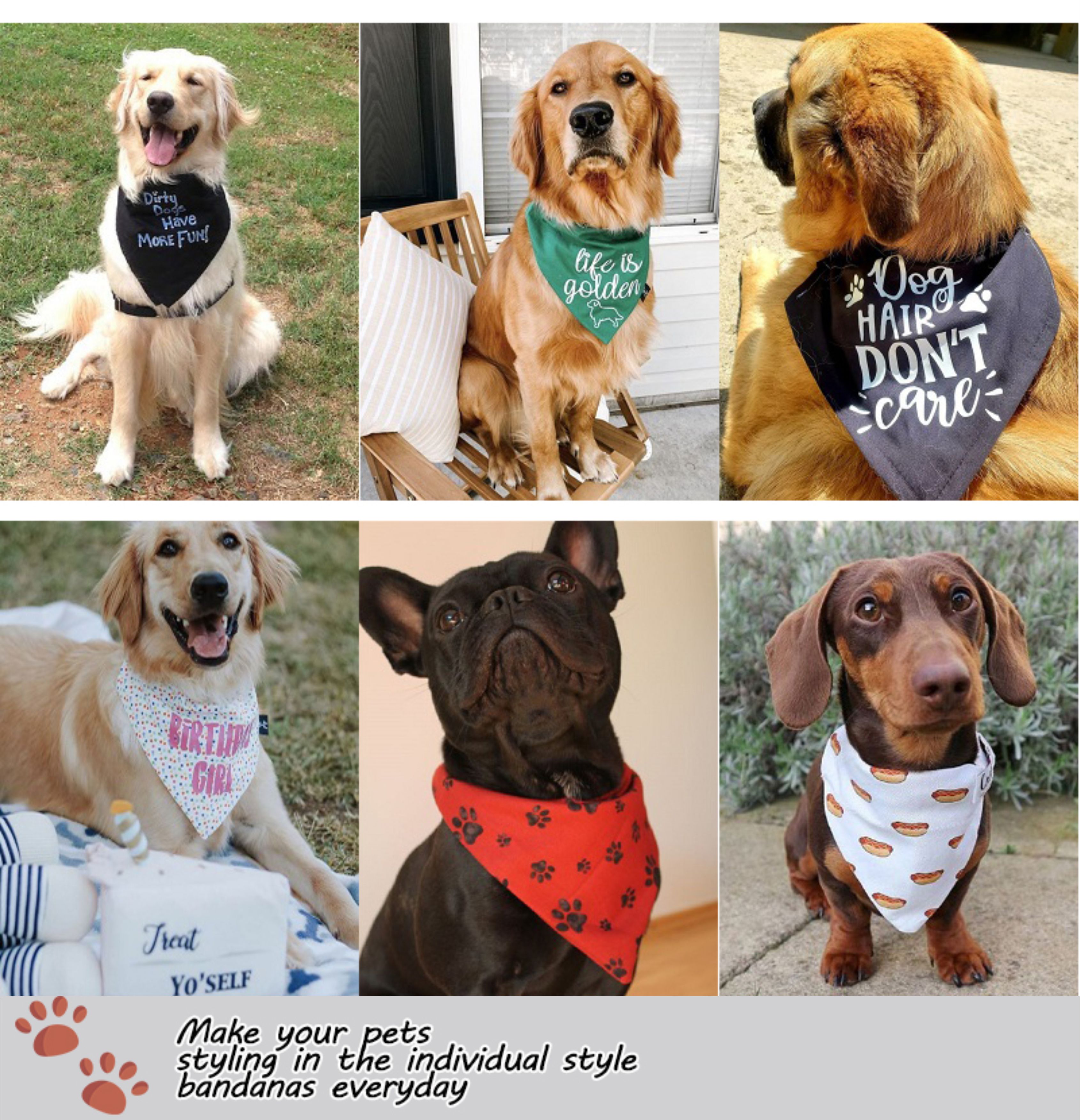 dog bandana bowl
