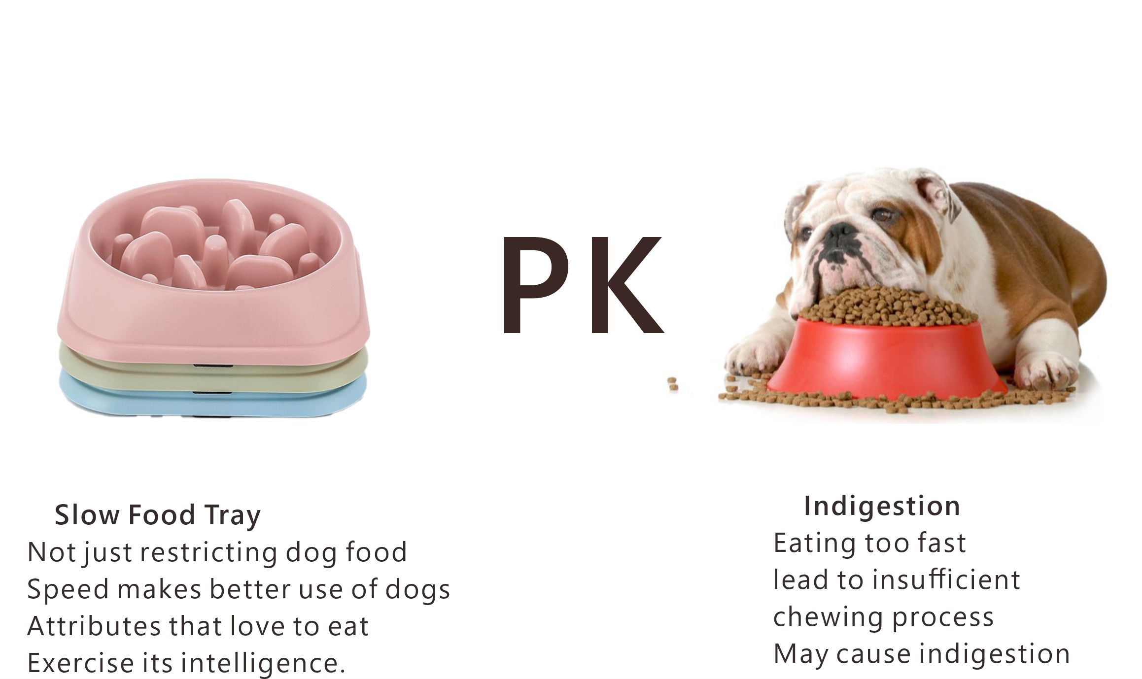 anti gulp dog bowl