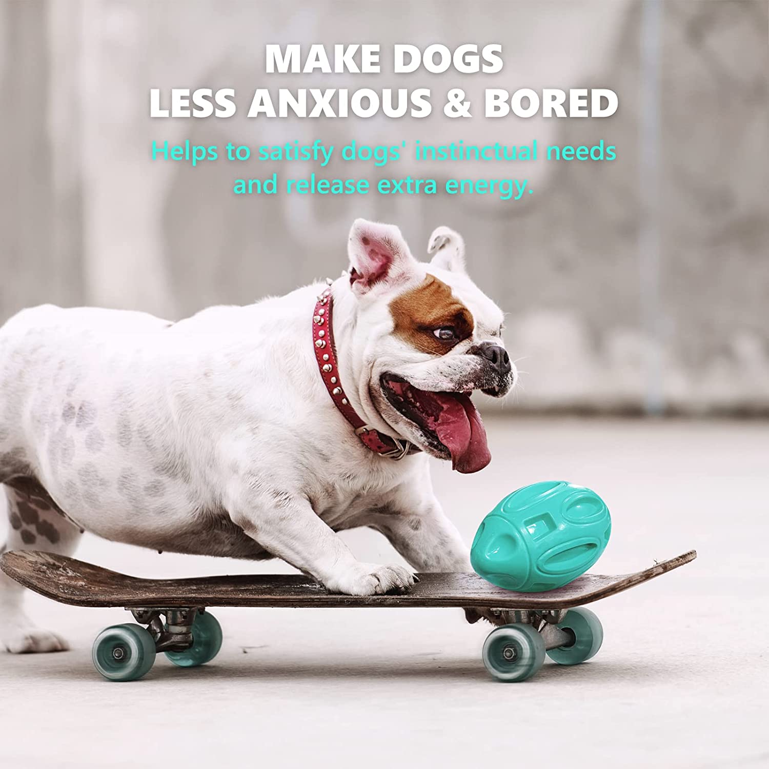 non toxic dog toys