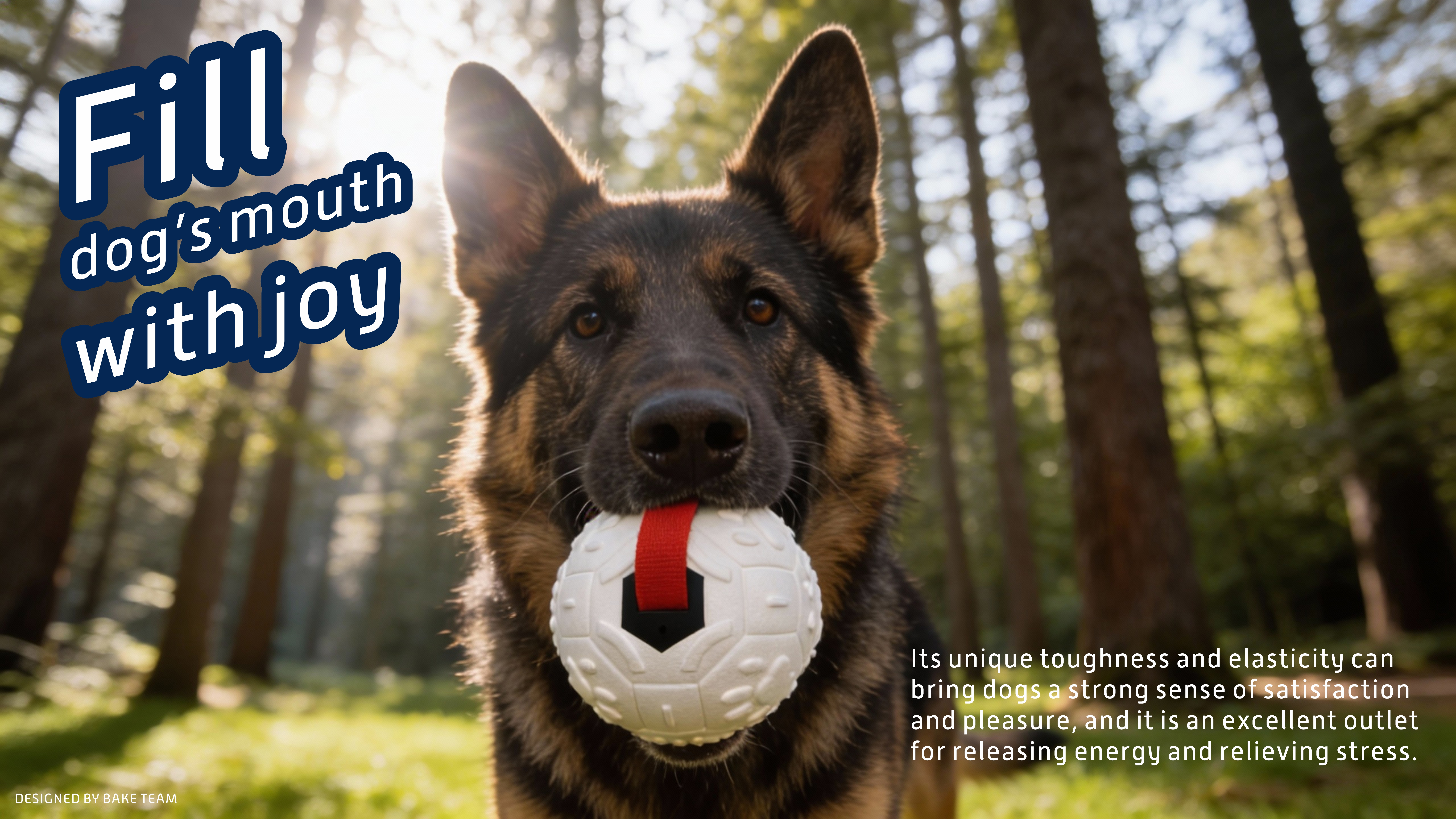 What Packaging Options Are Best for Your Private Label Dog Toys?