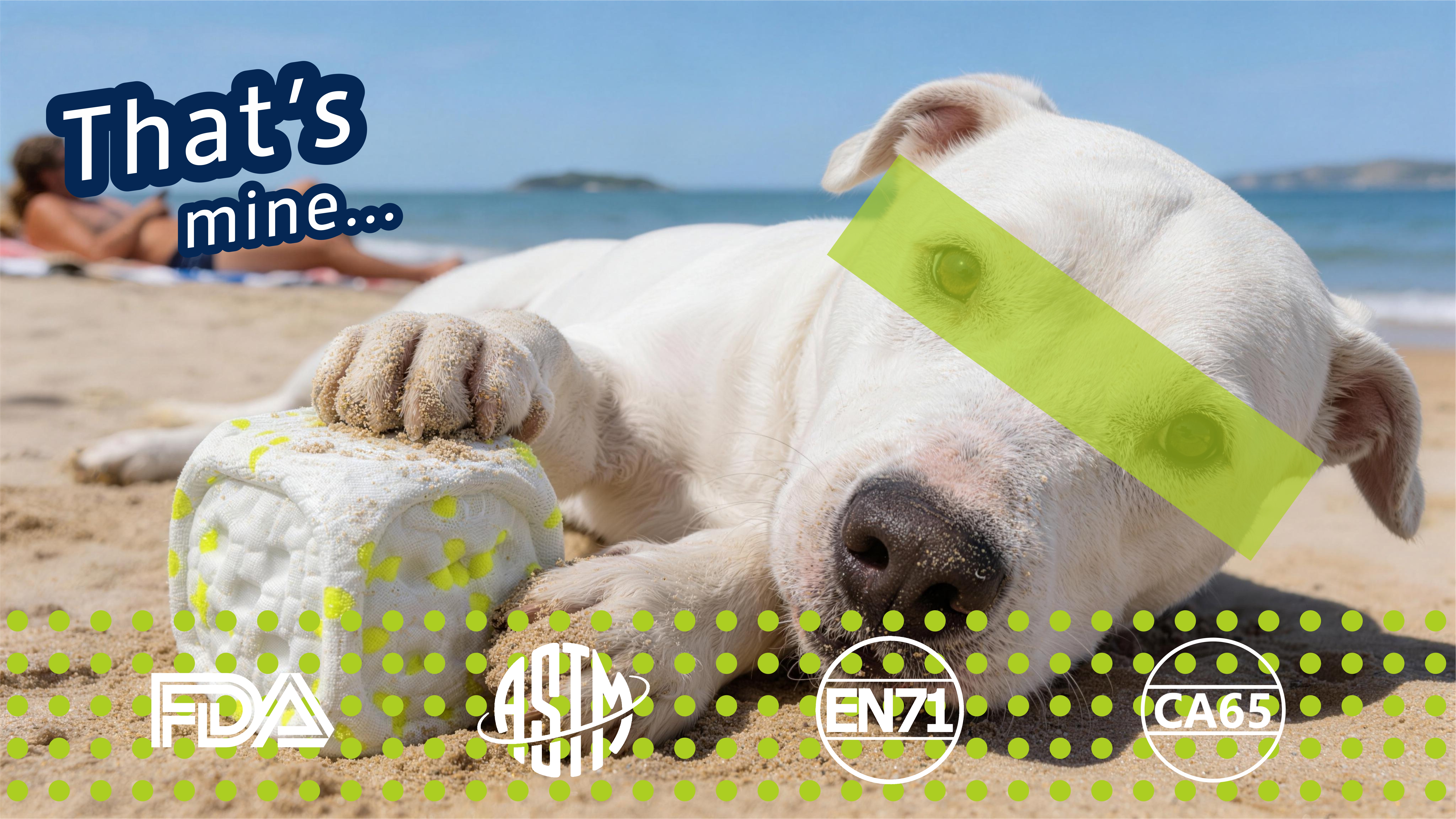 What Are The Best Indestructible Dog Toys for Aggressive Chewers?