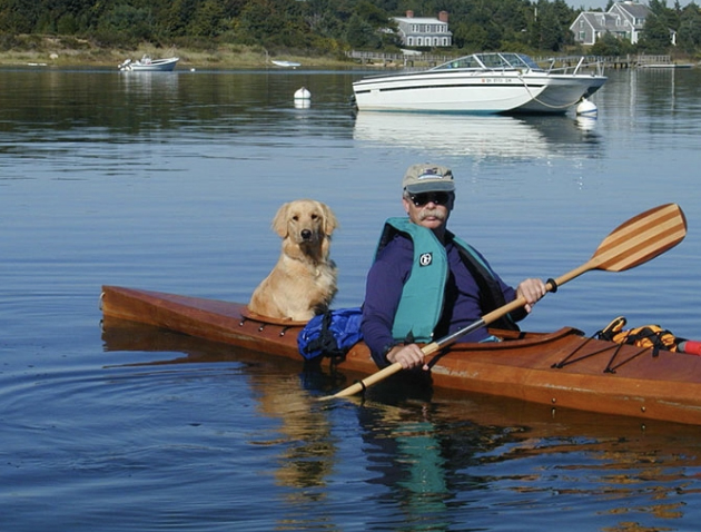 top interactive toys for dogs