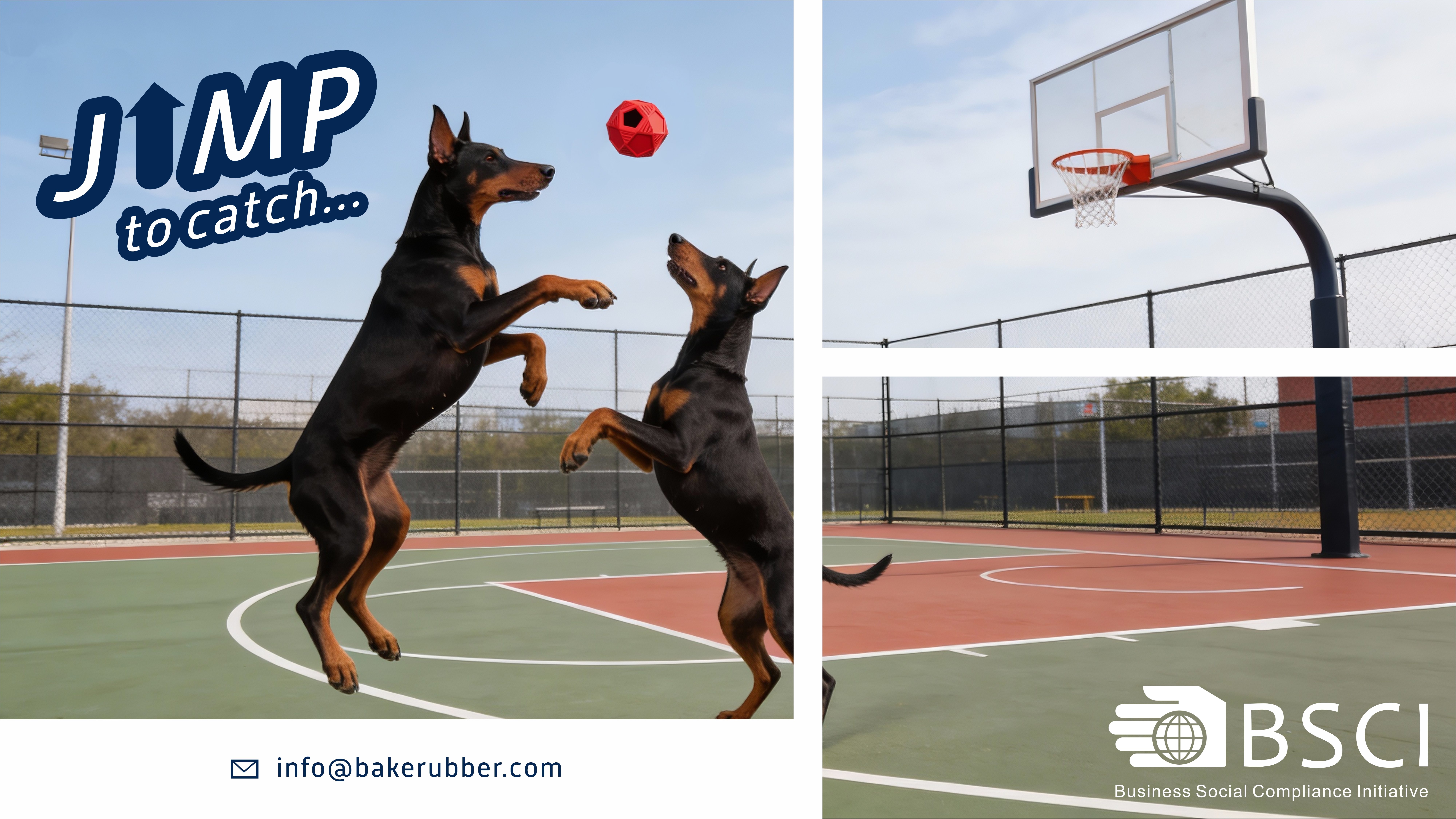 How To Choose A Safe Nylon Dog Toy for Your Dog