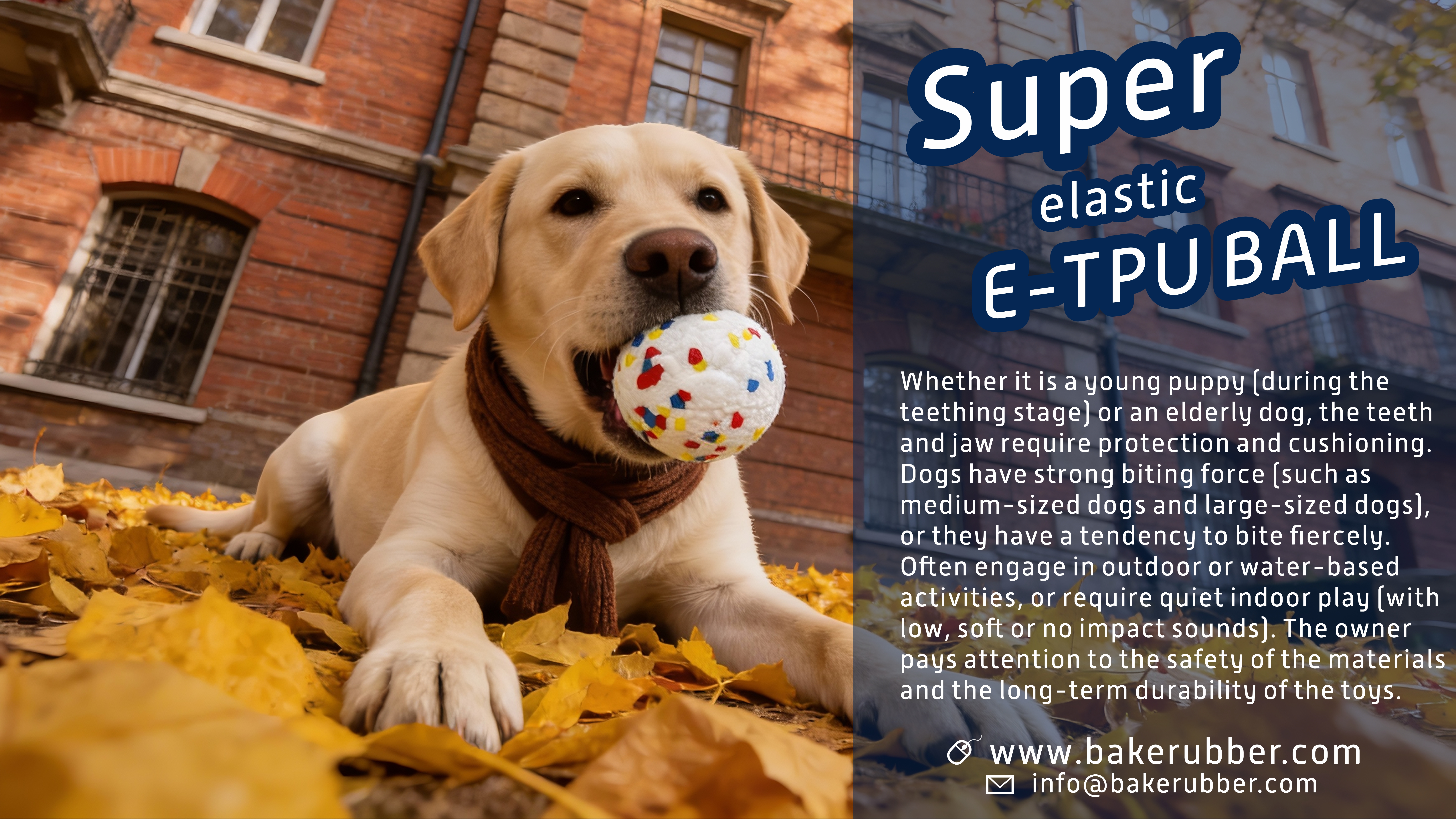 Aggressive Chewer Dog Toy