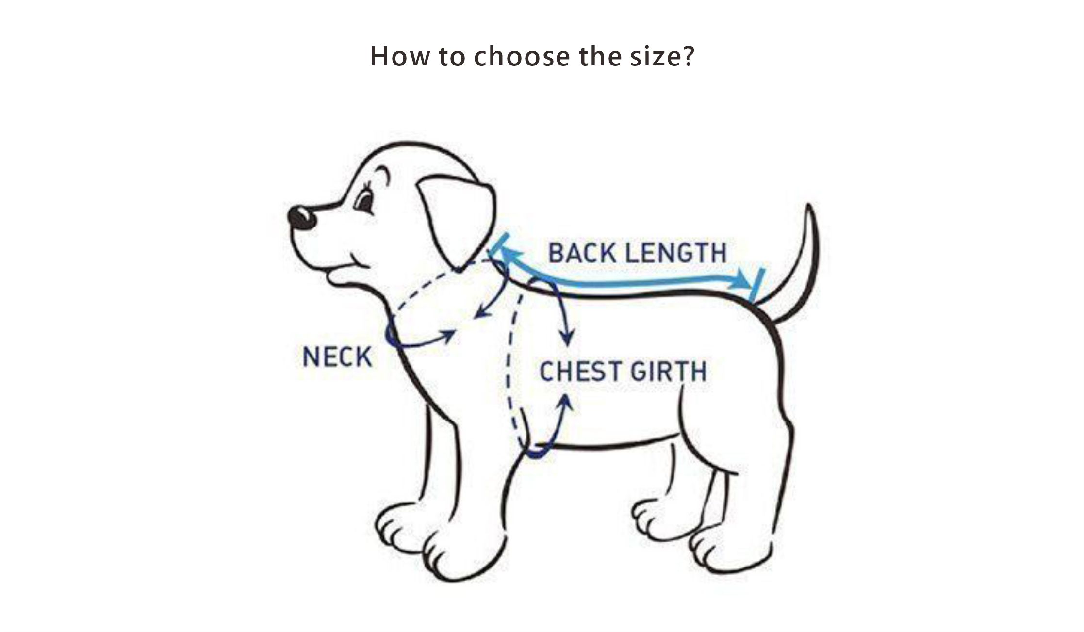 dog clothes cheap