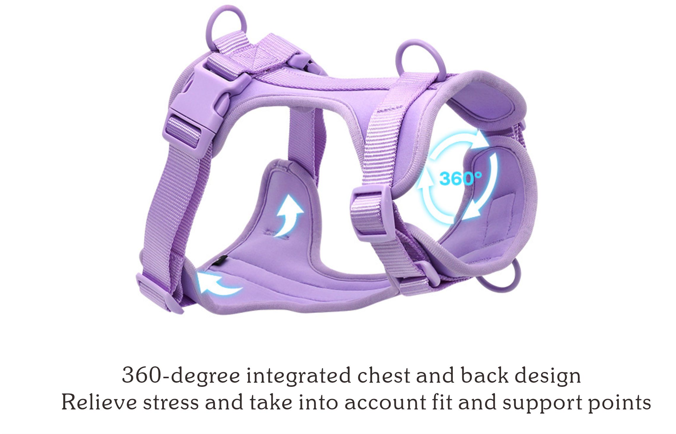 a dog leash training