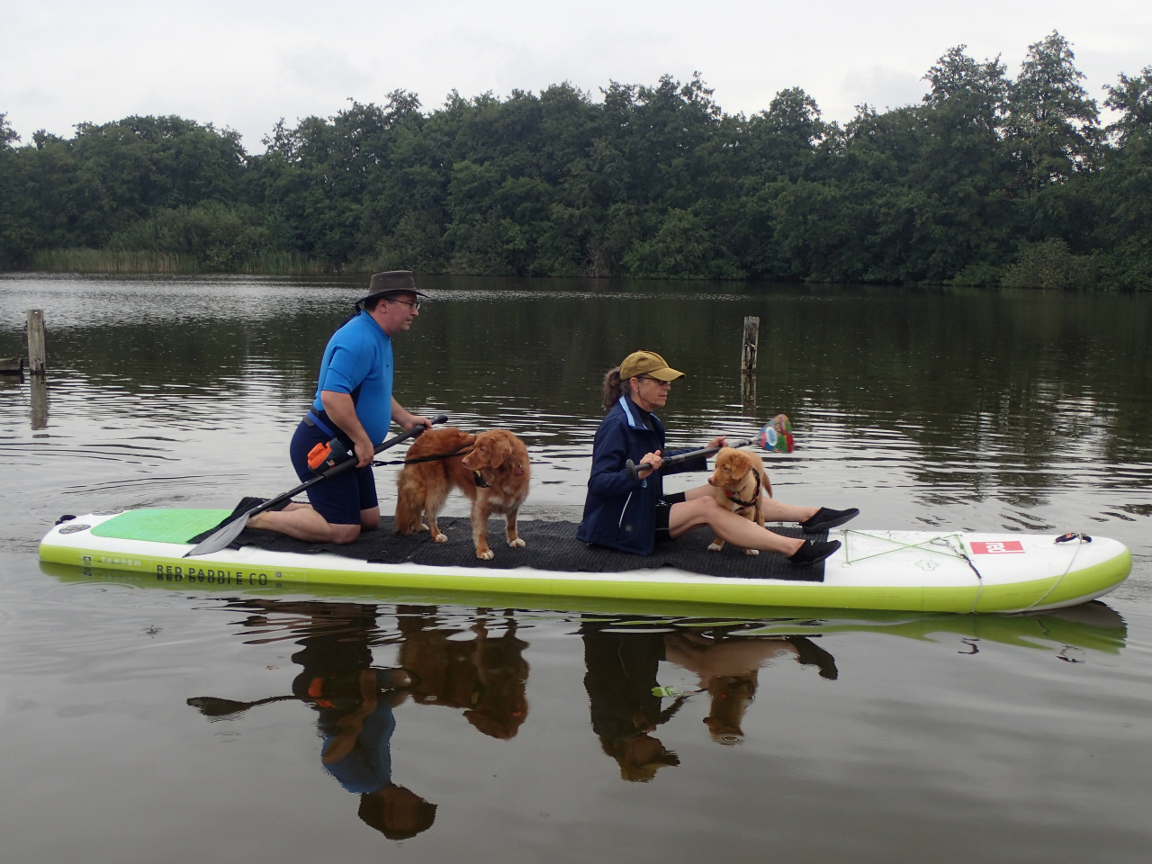 best rubber for dog toys