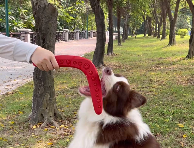 nylon dog toy