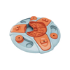 New Arrival Dog Food Bowl High Value Color Impact Multifunctional Puzzle Slow Feed Dog Food Bowls