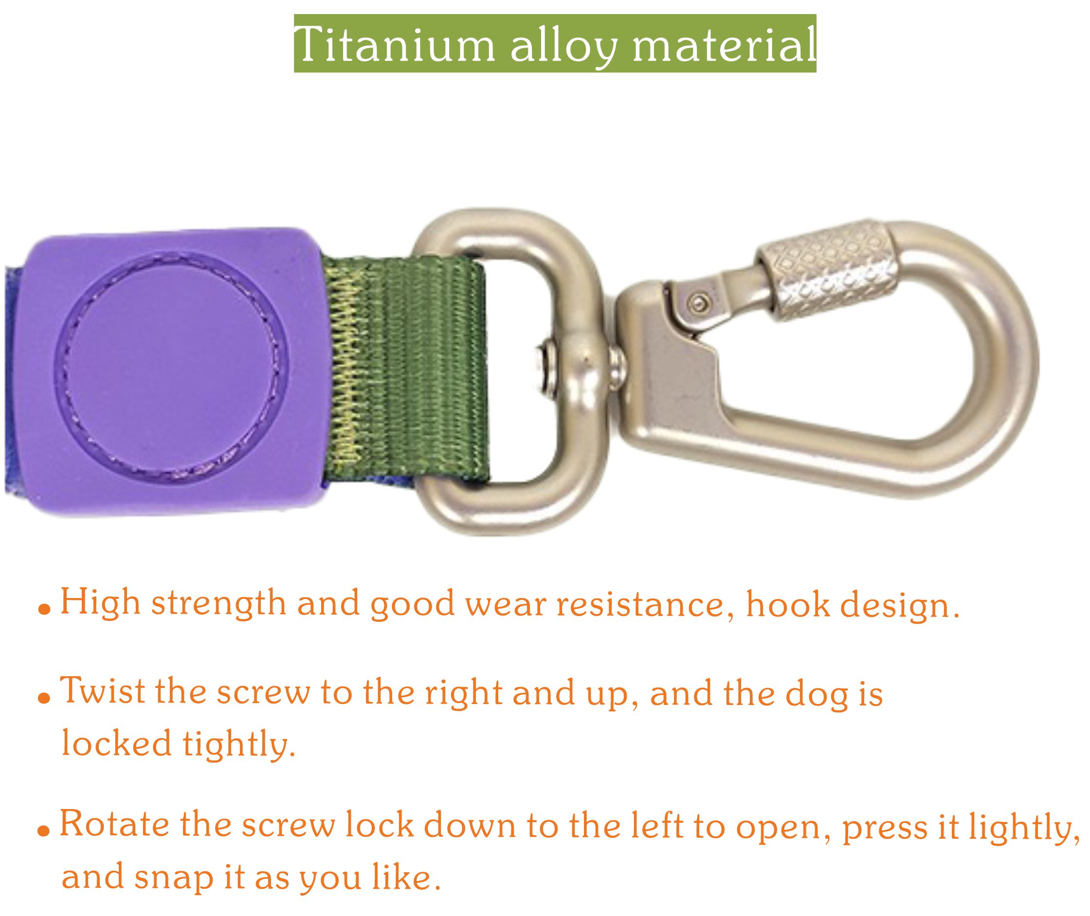 best dog leash