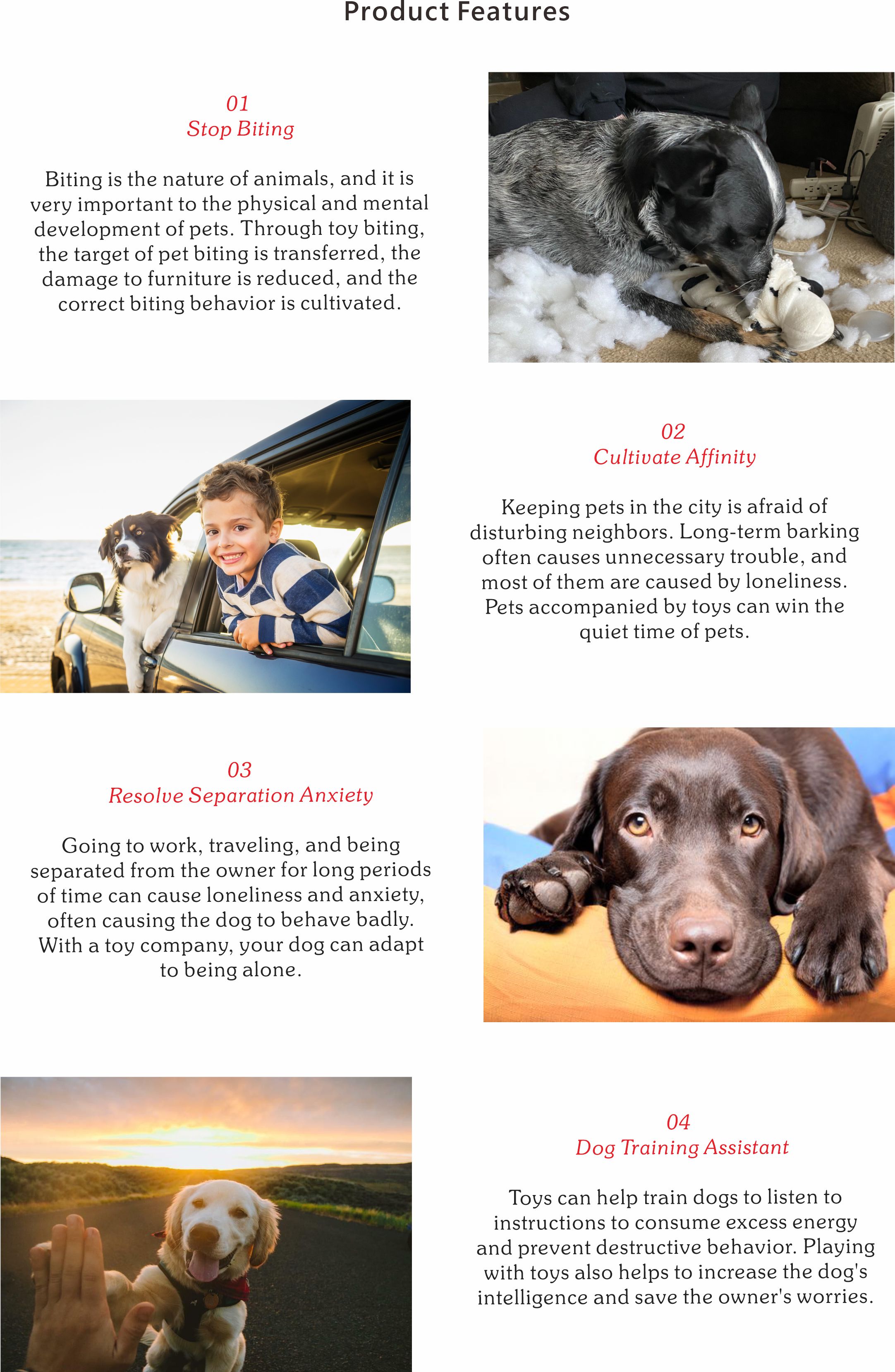 unique dog toys