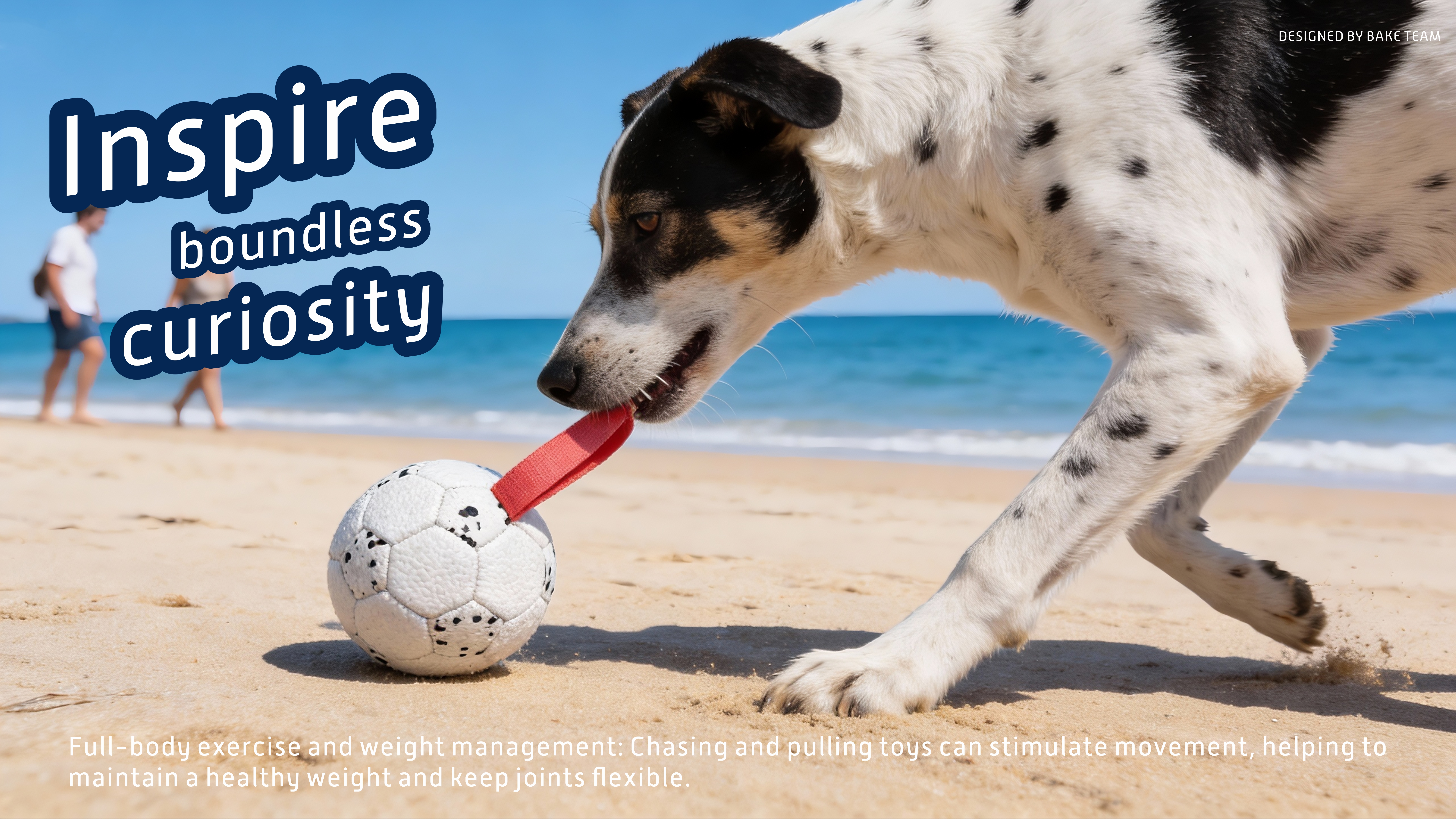 What Is A Smart Interactive Dog Toy?