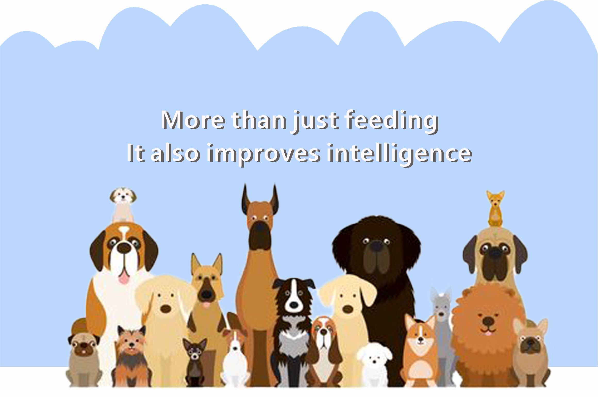 Manufacturer Pet Toy