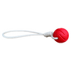 OEM/ODM Pet Toys E-TPU Eco Friendly Dog Toy Indestructible Interactive Pet Chewing Toys