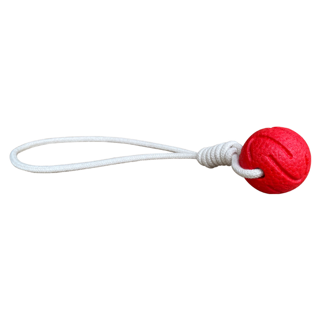 OEM/ODM Pet Toys E-TPU Eco Friendly Dog Toy Indestructible Interactive Pet Chewing Toys