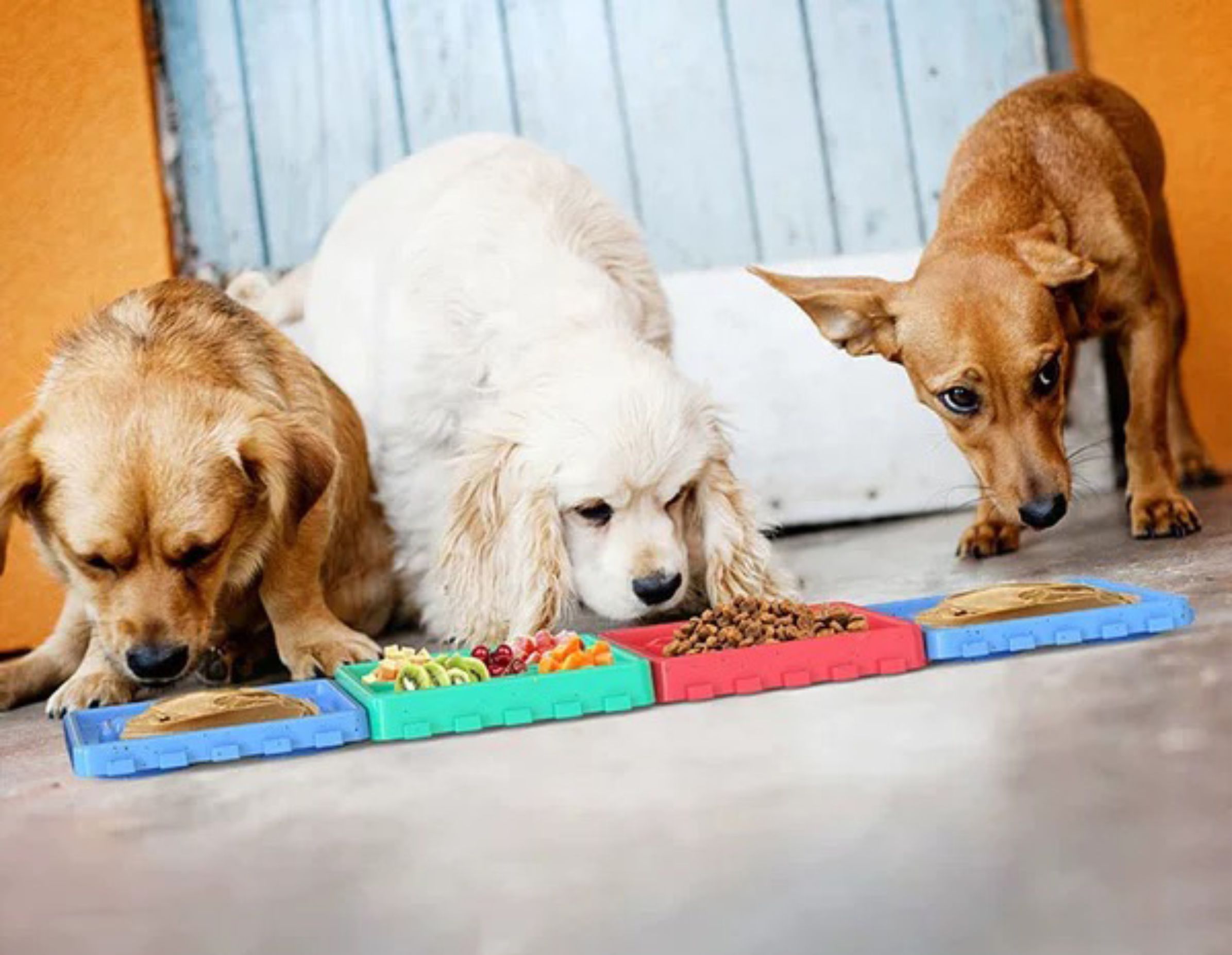 dog bowl to slow down eating