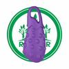 Incredible Natural Rubber Chewing Toy Fruit Non Toxic Dog Toys