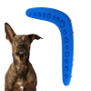 Amazon Top seller wholsales Rubber And E-tpu Mixed Eco-Friendly Outdoors Toys Sport Flying Disc Boomerang for Dog Playing