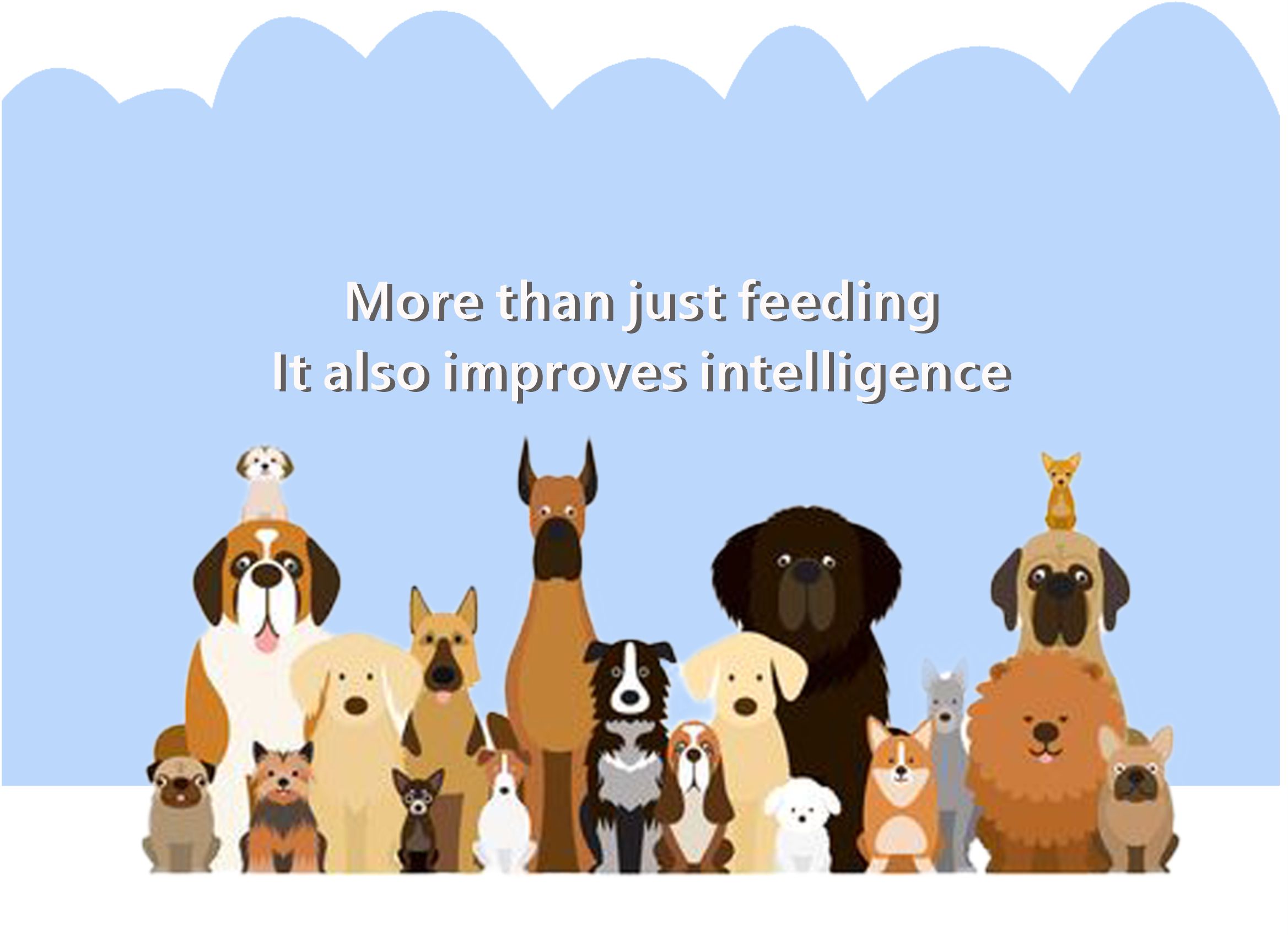 safe chew toy for dogs
