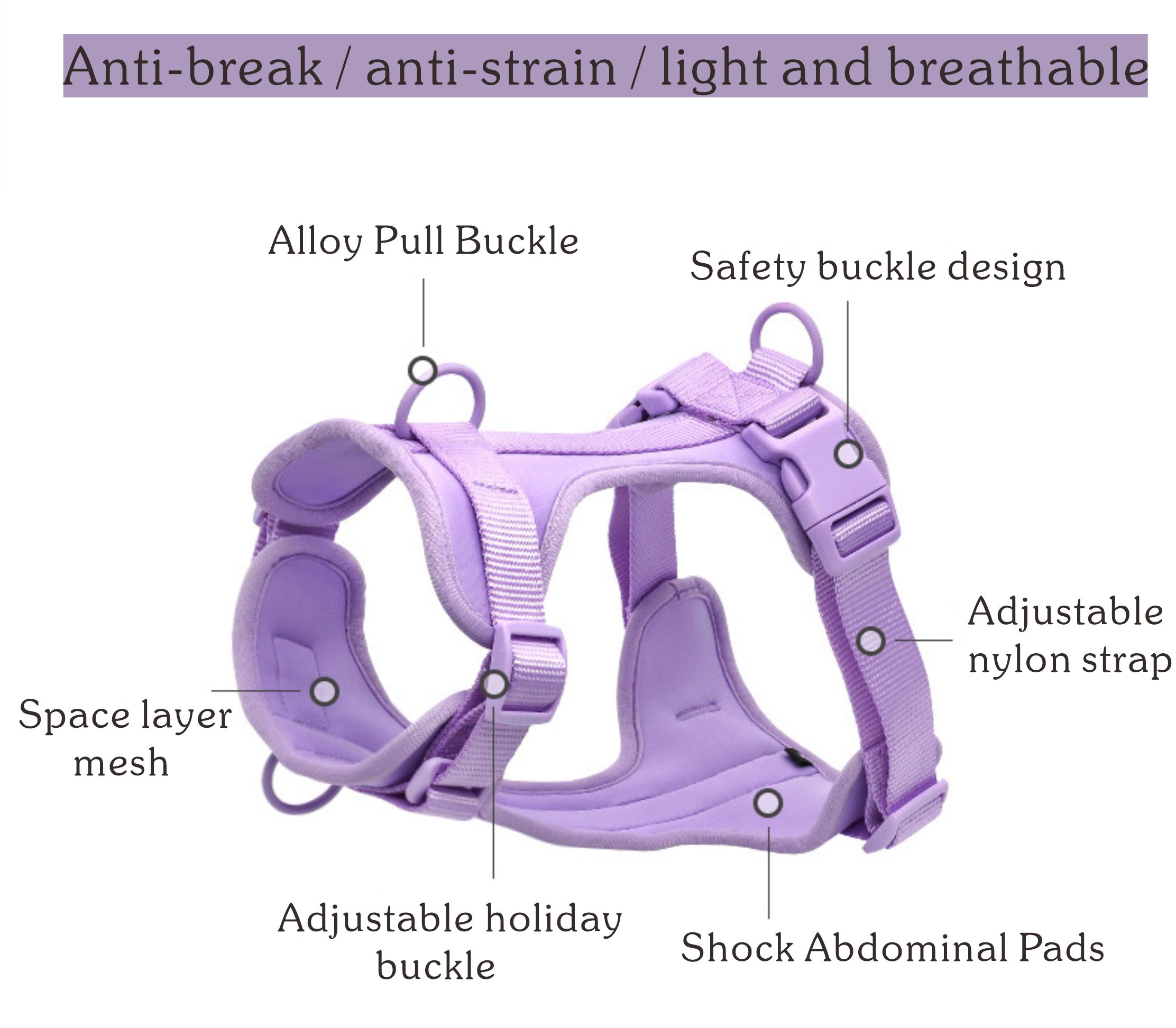 dog harness and leash