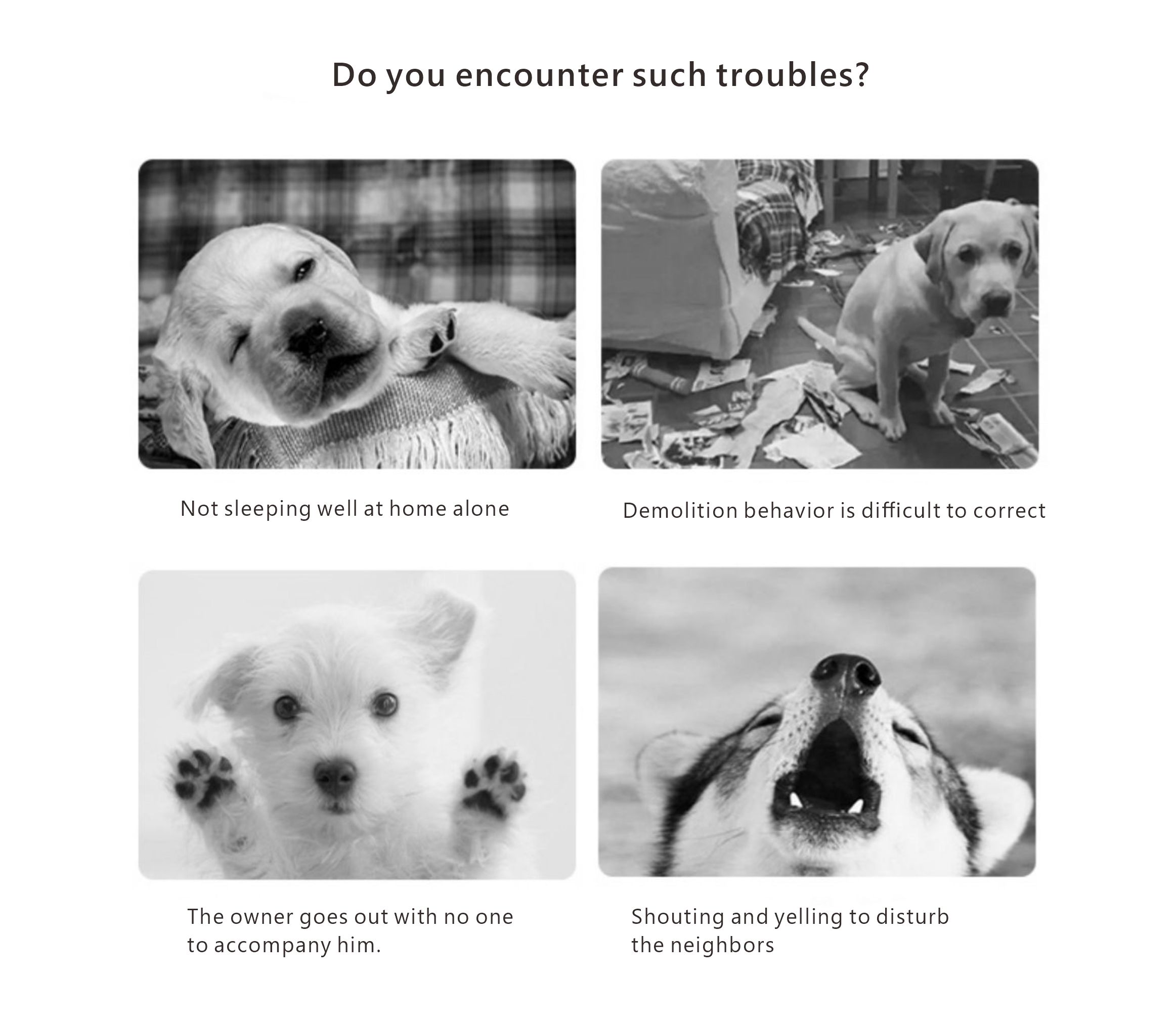 Tough Teething rope Chew Toys