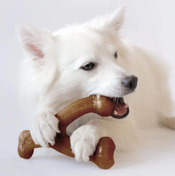 non toxic dog toys