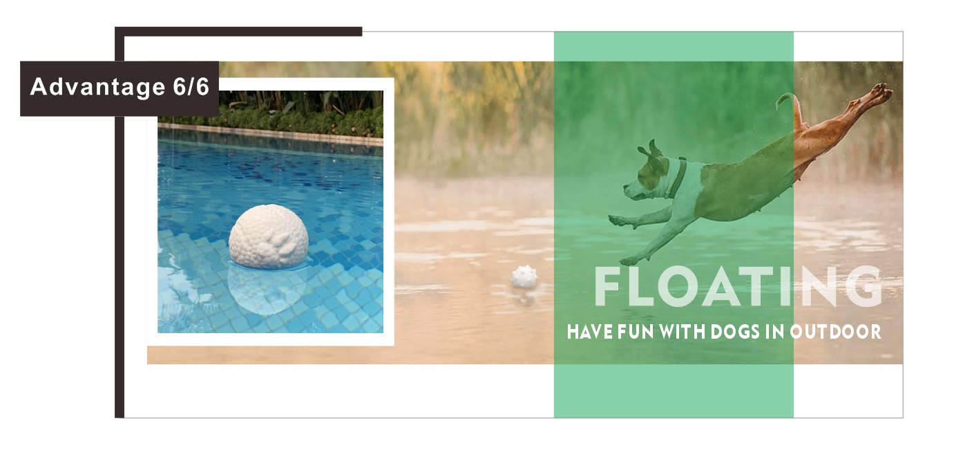 interactive fetch n treat dog toyToys