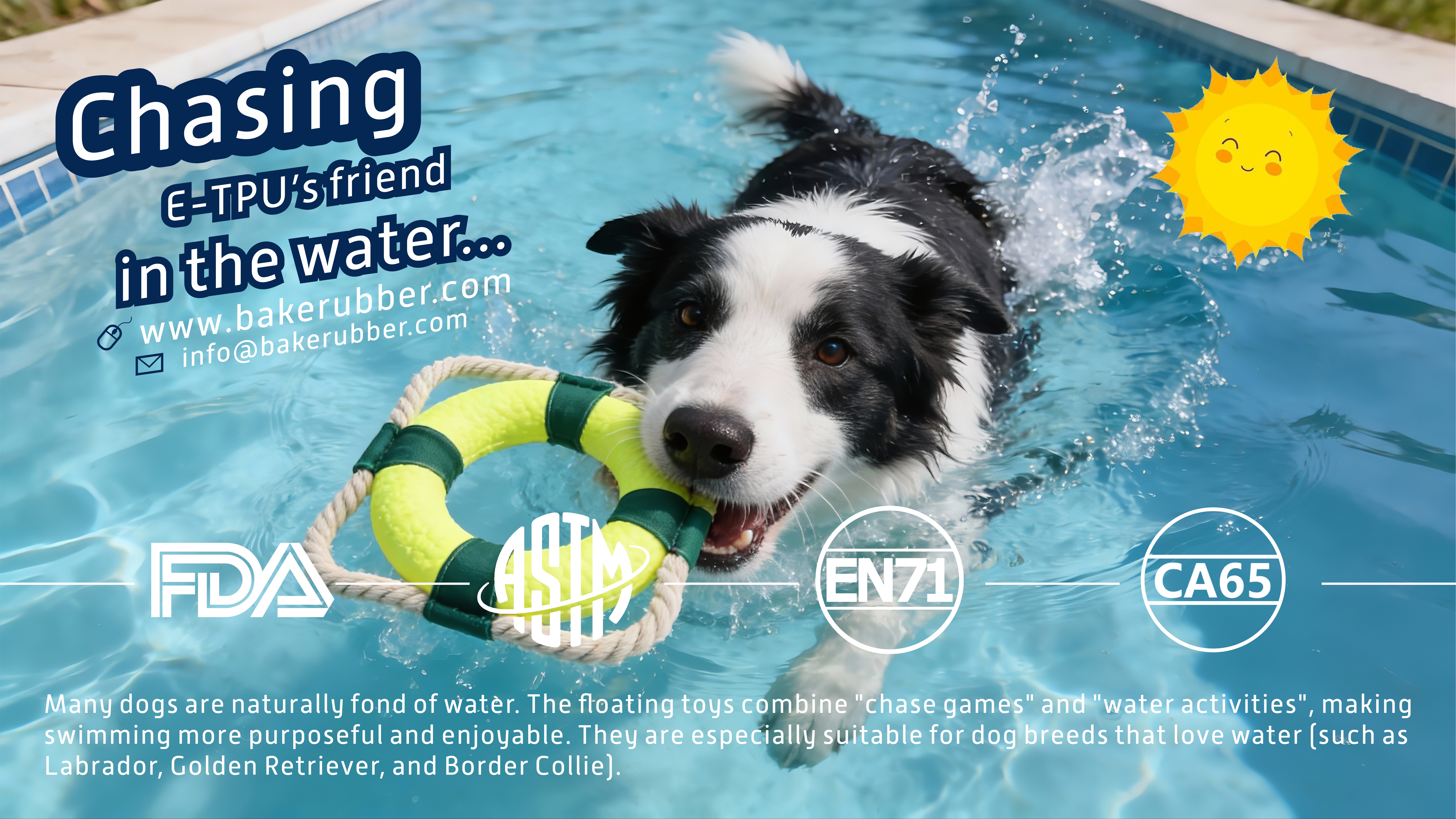 Do Dogs Really Like Squeaky Toys? The Science Explained