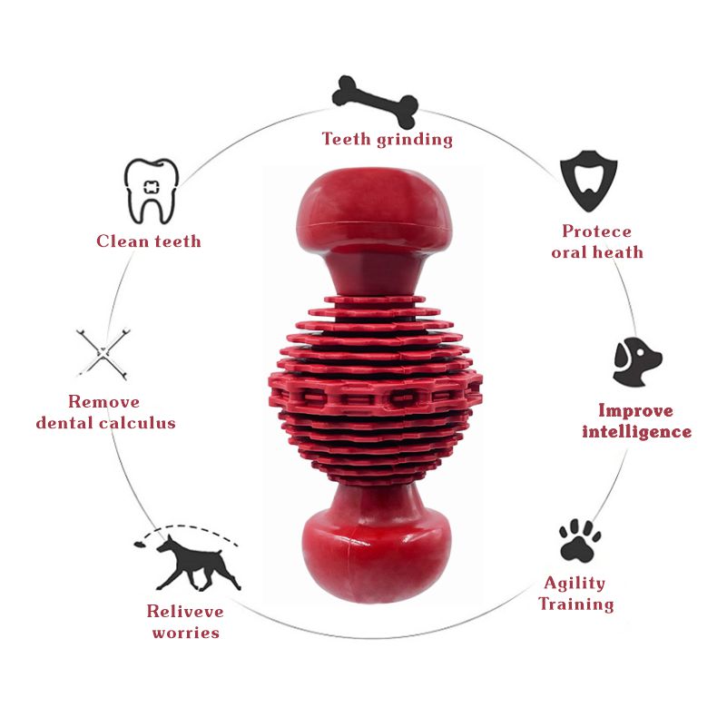 Squeaky Dog Toy