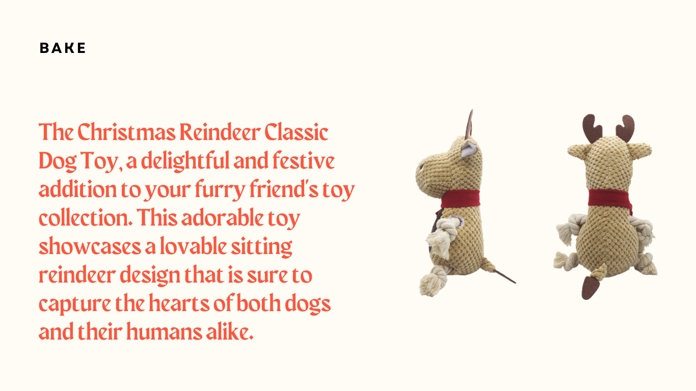 dog toy plush with rope arms