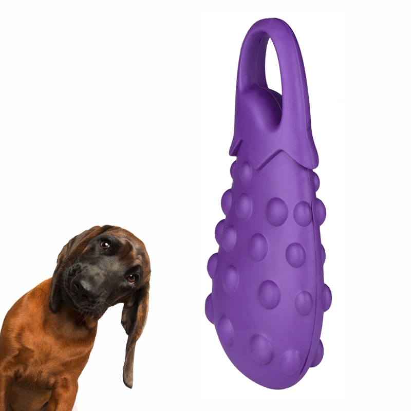 interactive rubber dog toys