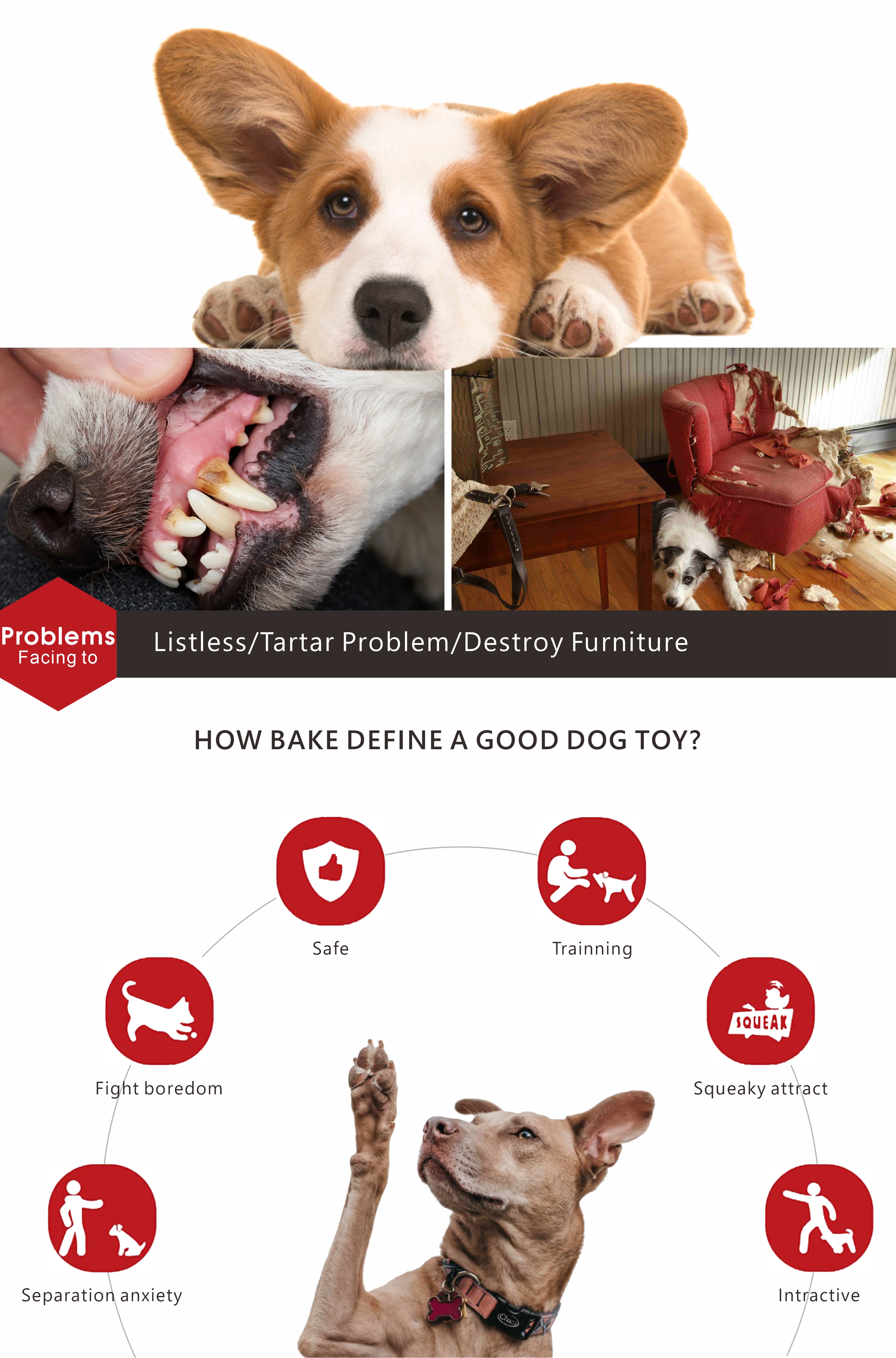 popular dog chew toys