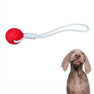 OEM/ODM Pet Toys E-TPU eco friendly tug of war dog toy interactive puppy dog toys set